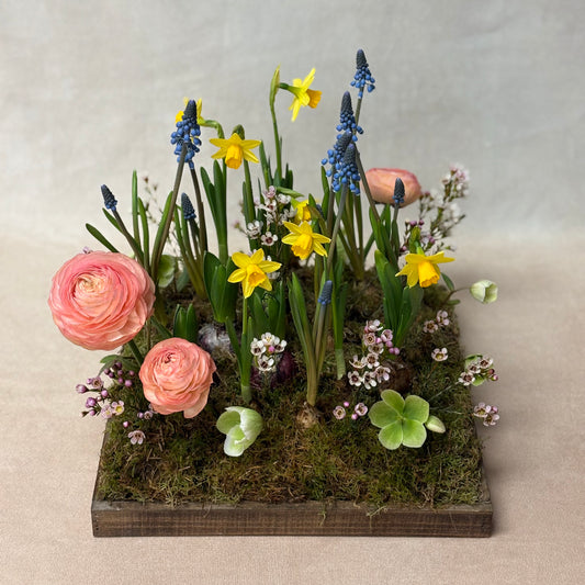 Mother’s Meadow